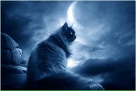 Фотография Егоровой Анастасии