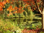 Фотография Lopatchenko Viitoria