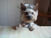 Фотография Маурер Нели