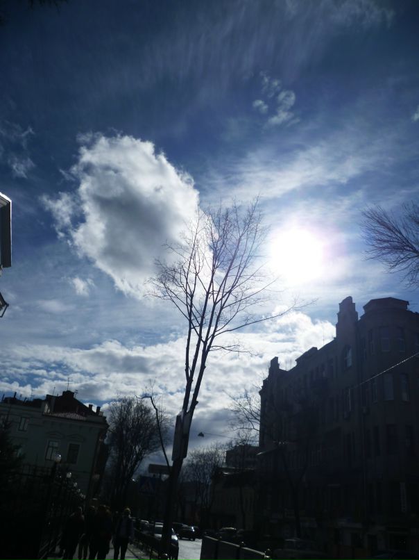 Dragon Fly фотография #30