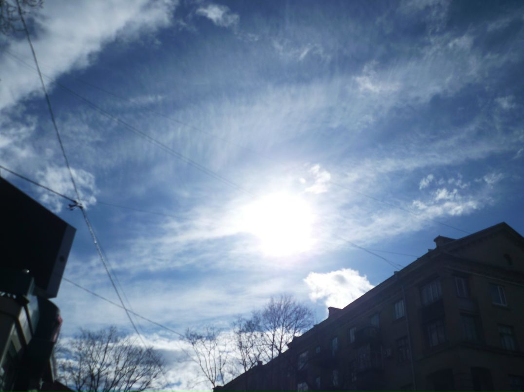 Dragon Fly фотография #37