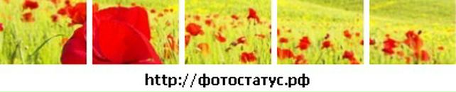 Вероніка Федишин фотография #13 (источник - https://vk.com/id45959990)