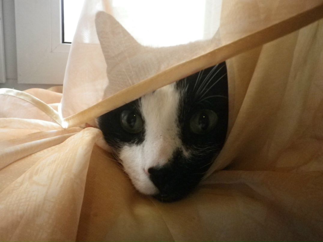 Антон Борзенков фотография #50