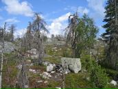 Иван Паньков фотография #50 (источник - https://vk.com/id746503)