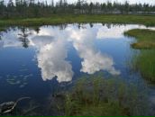 Иван Паньков фотография #19 (источник - https://vk.com/id746503)