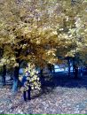 Наташа Косіненко фотография #29 (источник - https://vk.com/id134981463)