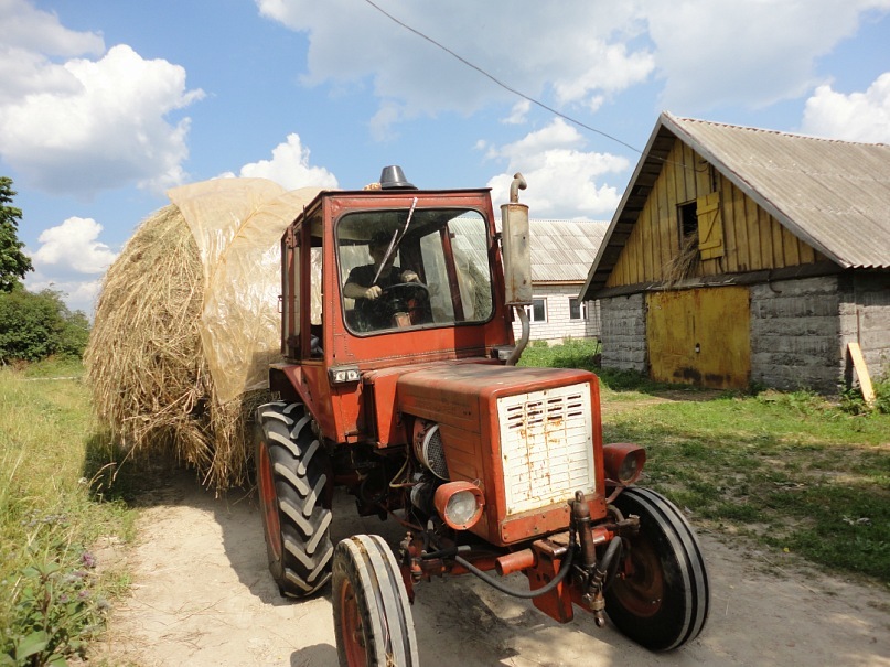 Дмитрий Баков фотография #35