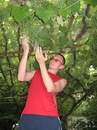 Фотография Проворнова Ивана