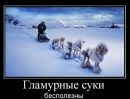 Фотография Абляховой Юлии
