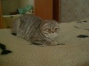 Олена Сусліна фотография #17 (источник - https://vk.com/id17471111)
