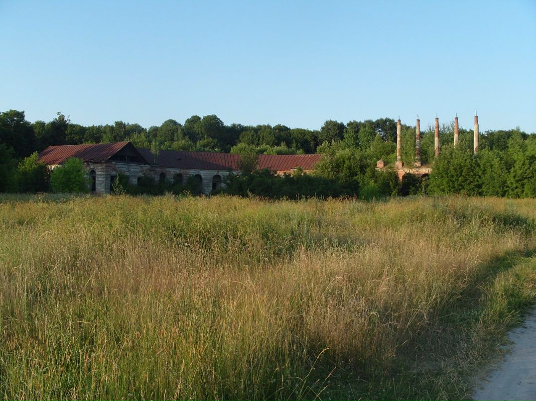 Дмитрий Пызин фотография #29