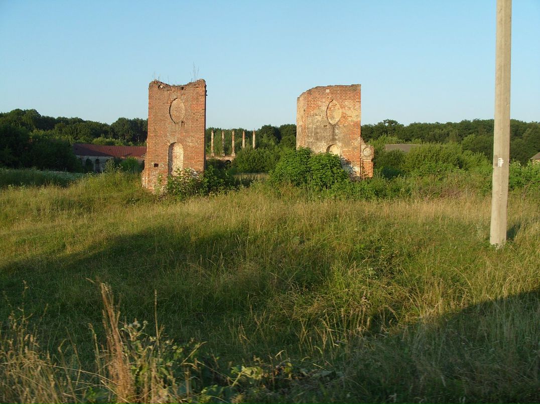 Дмитрий Пызин фотография #28