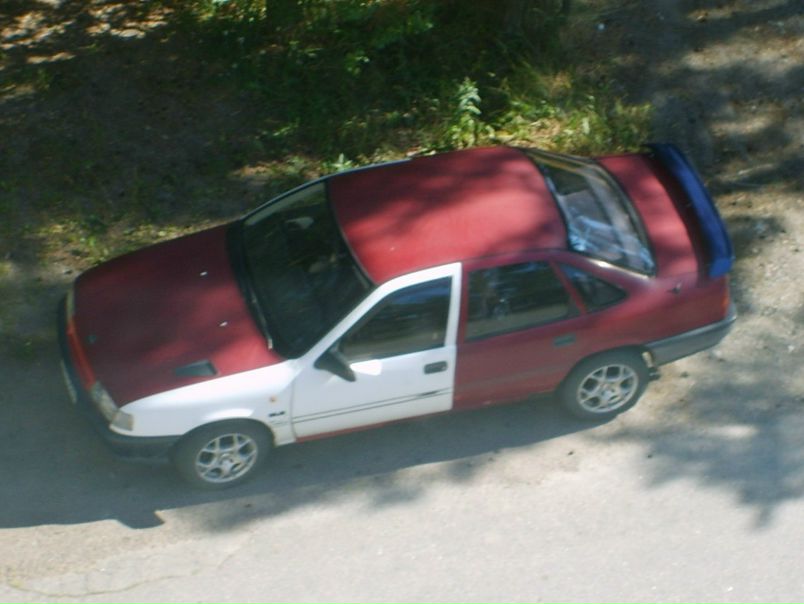 Imp Imp фото №14