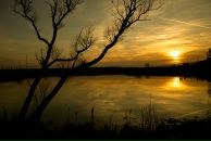 Фотография Иванова Артёма