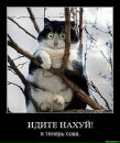 Фотография Жаренской Насти