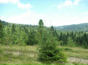 Віка Карпин фотография #21 (источник - https://vk.com/id90324978)