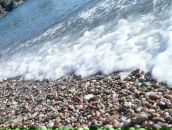 Фотография Кольцовой Галины