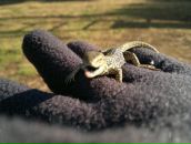 Віталік Майданський фотография #43 (источник - https://vk.com/id24347604)