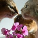 Фотография Карельской Елены