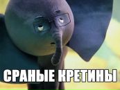 Детский Морг фотография #11 (источник - https://vk.com/id8447544)