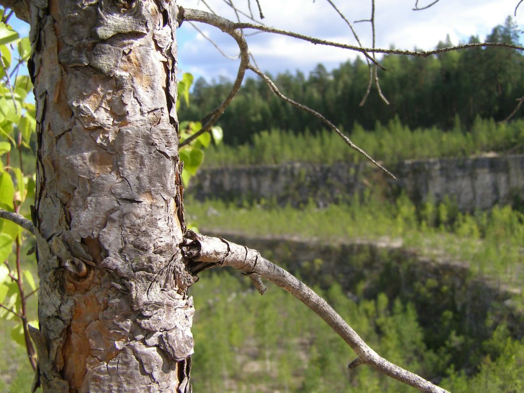 Владимир Плотников фотография #21