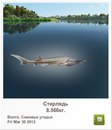 Степан Вівчар фотография #38 (источник - https://vk.com/id147025983)