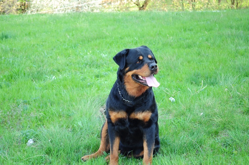 Роман Опальчук фотография #43