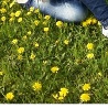 Ігор Ільків фотография #8 (источник - https://vk.com/id121564992)
