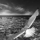 Фотография Молодцовой Светланы