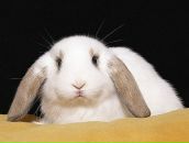 Фотография Пудовой Марины