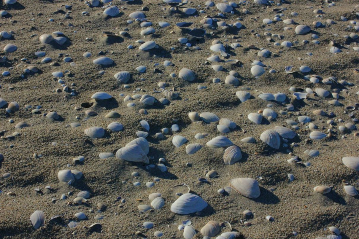 Глеб Петров фотография #26