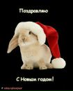 Мішутка Мельник фотография #8 (источник - https://vk.com/id169671573)