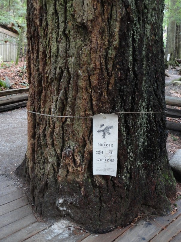 Ольга Малышева фотография #45