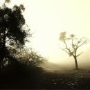 Светлана Крылова фотография #19 (источник - https://vk.com/id42390)