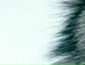 Владік Грущак фотография #7 (источник - https://vk.com/id134356199)