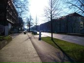 Дарья Редько фотография #18 (источник - https://vk.com/id797701)