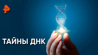 «Невероятно интересные истории»: тайный ДНК